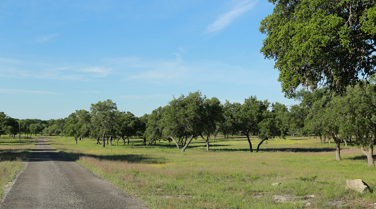 Blanco Ranch Property