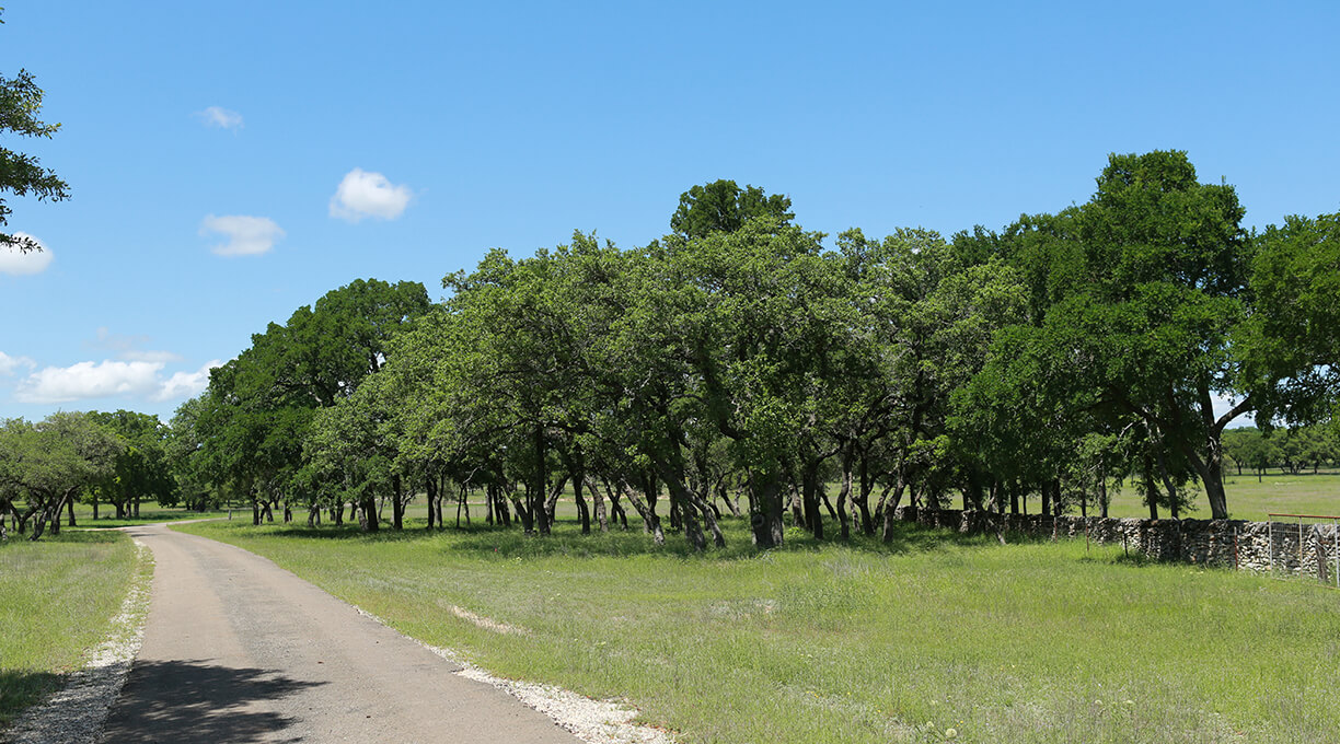 Blanco Ranch Property