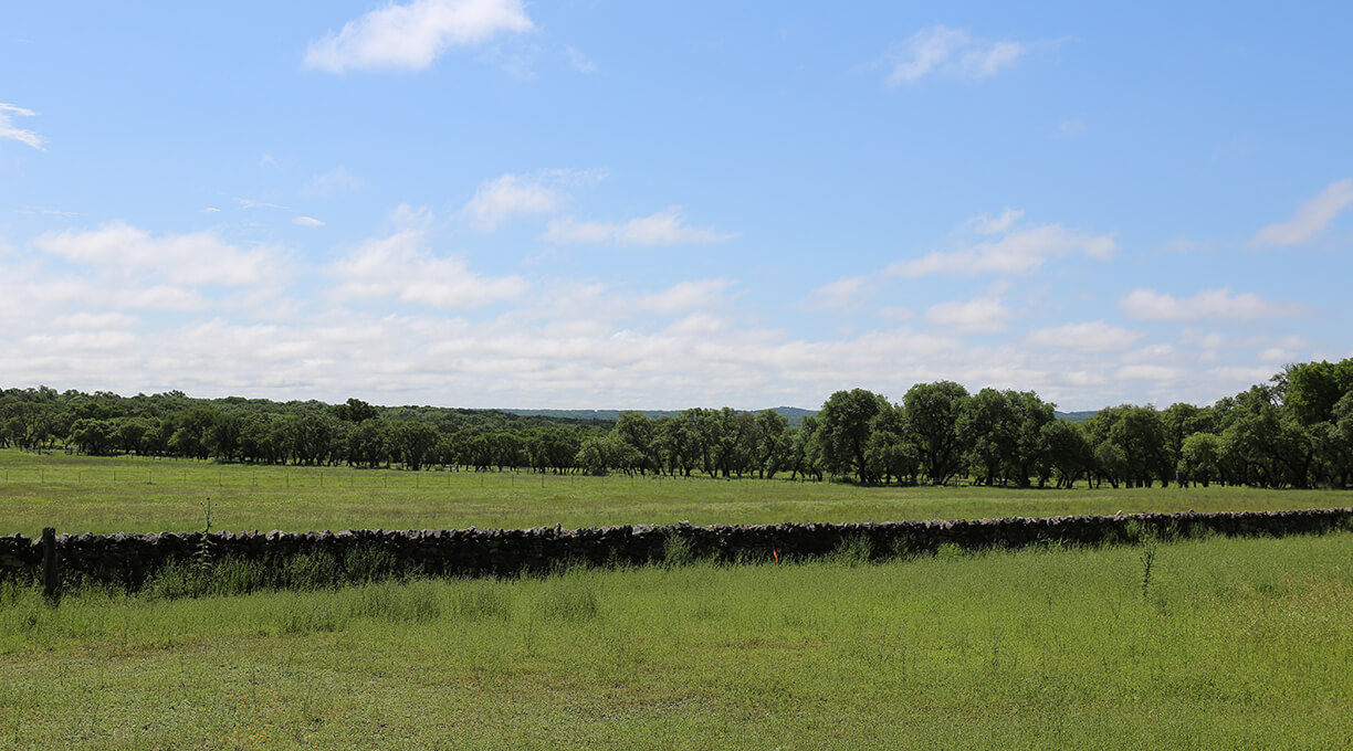 Blanco Ranch Property