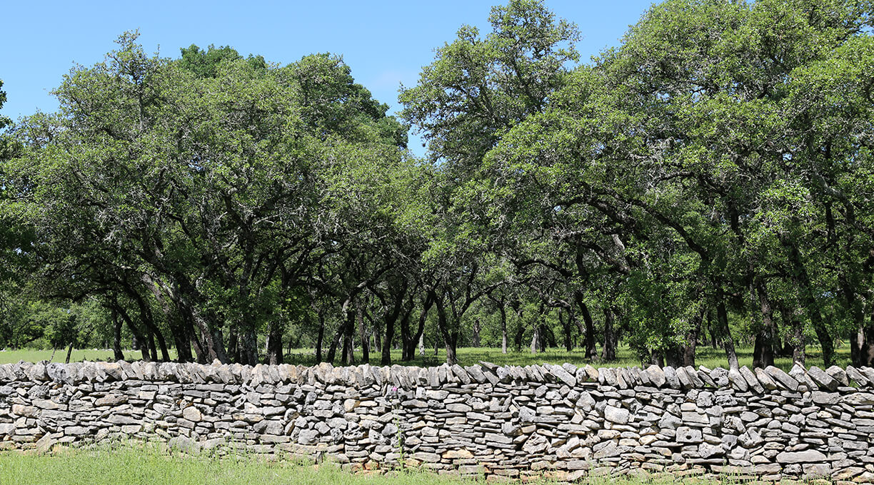 Blanco Ranch Property