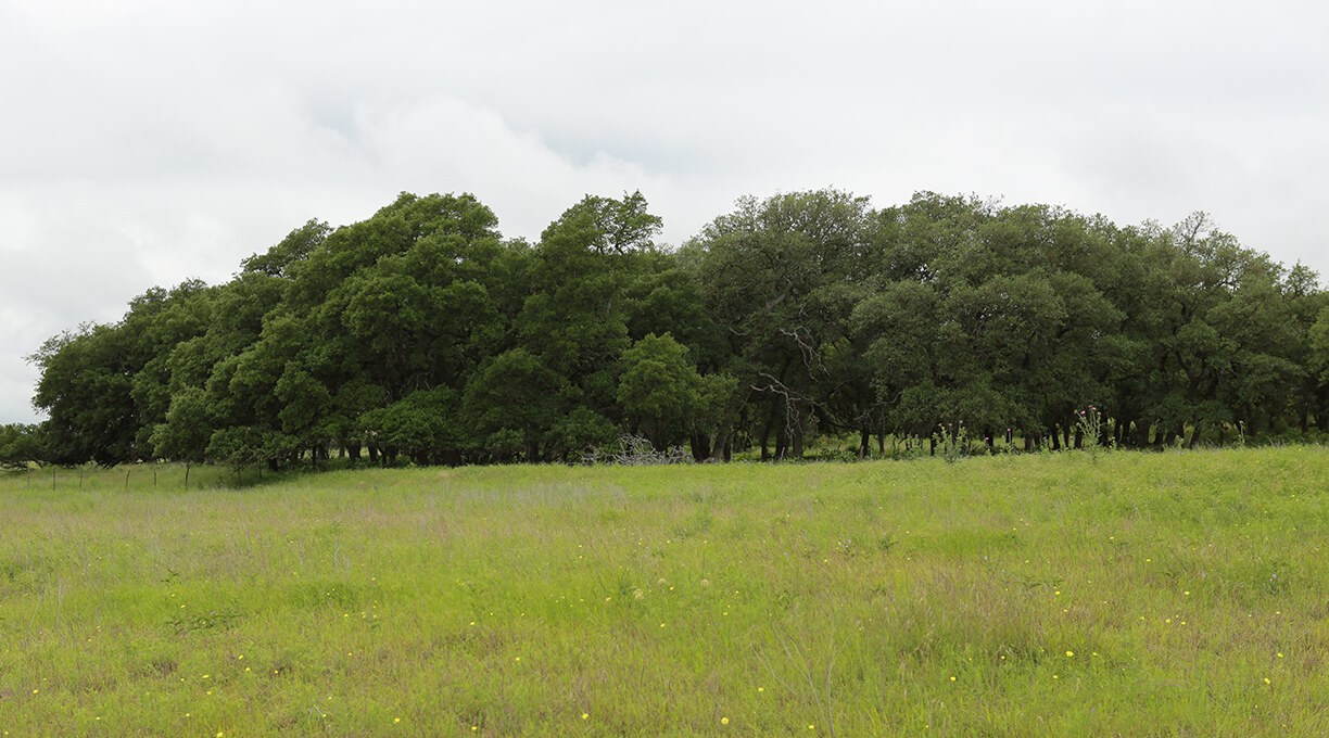 Kendall Ranch Property