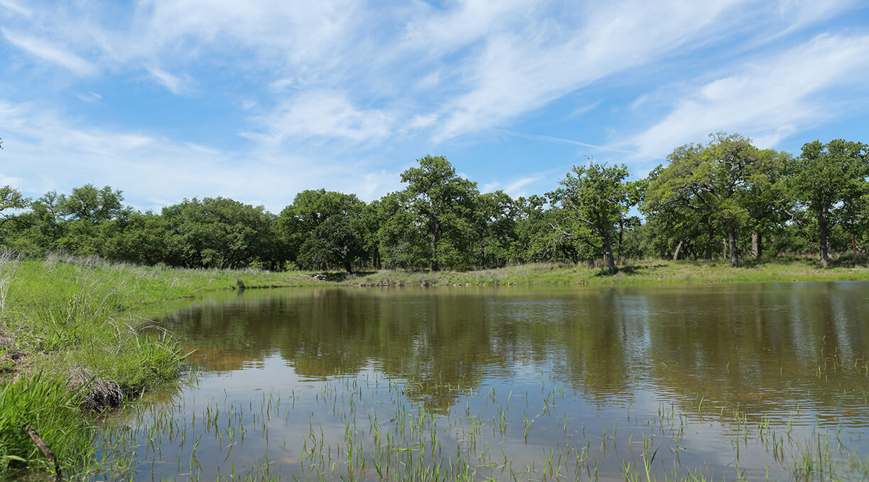 Kendall Ranch Property