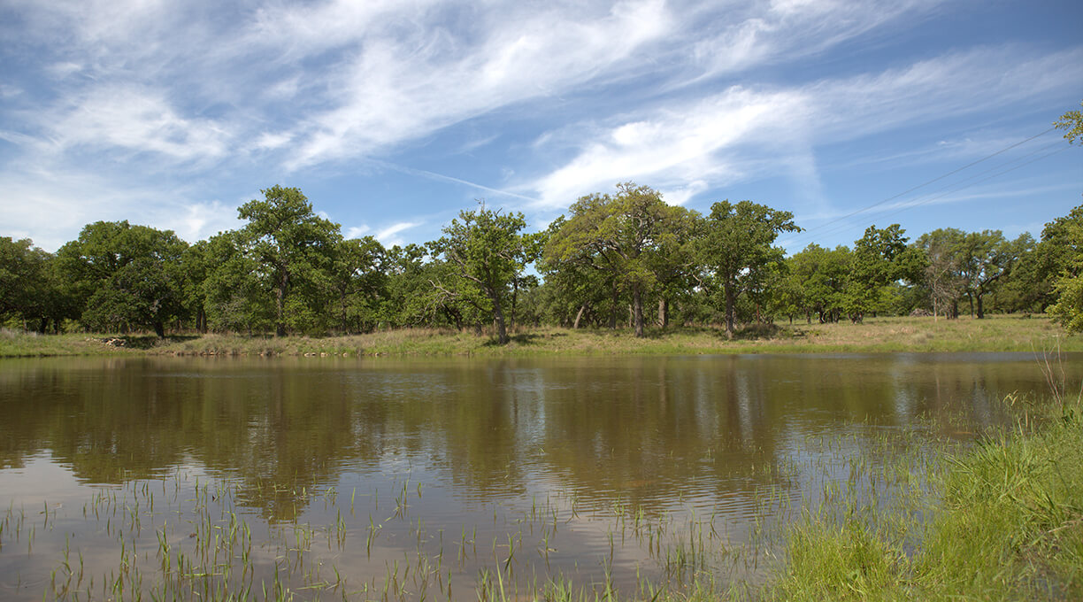 Kendall Ranch Property