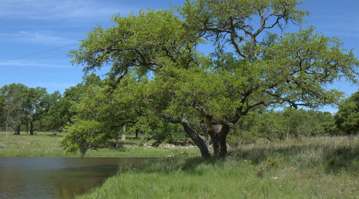 Kendall Ranch Property