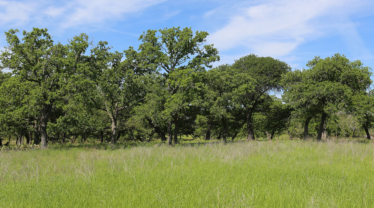 Kendall Ranch Property