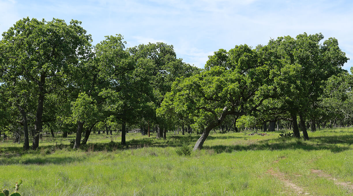 Kendall Ranch Property